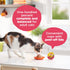 2.75 (Pack 12) Meow Mix Pat in Gravy Wet Cat Food with Real Chicken & Beef, Ounce
