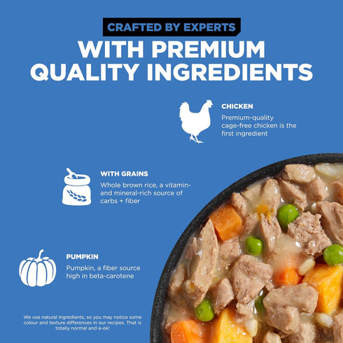 GO! SOLUTIONS Skin + Coat Care Wet Dog Food - Shredded Chicken Recipe with Grains, 12.5 oz