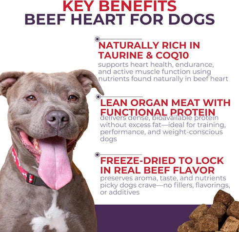 3 oz Momentum Carnivore Nutrition Freeze-Dried Beef Heart Dog Treats & Cat Treats Single-Ingredient, High-Protein