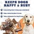 6 Inch (10 16.5 oz) Amazing Dog Treats - Beef Trachea Dog Chews pcs - - Trachea Dog Treats - NO Hide - Digestible