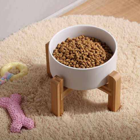 Petygooing White Raised Ceramic Dog Bowl for Small Breeds, Anti Slip Rubber Stand, 13.5 OZ Pet Feeding Dish