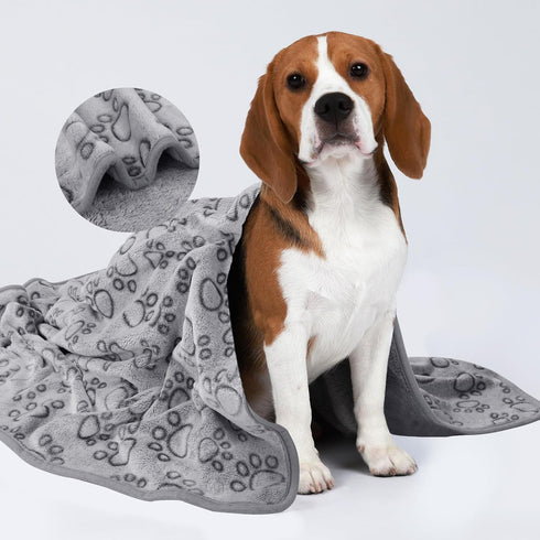 Luciphia 1 Pack of 3 Fluffy Premium Fleece Pet Blankets, Paw Printed Throw for Dogs and Cats, Grey