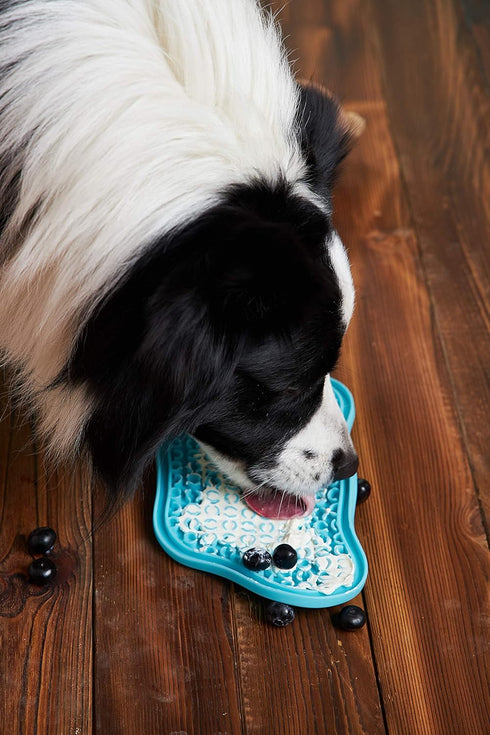 PAW 2-in-1 Interactive Slow Feeder Bowl with Removable Lick Mat - Blue