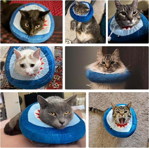 EXPAWLORER Cat Cone Collar Soft, Adjustable Cute Cat Recovery Collars After Surgery, Comfortable Neck Elizabethan Pet