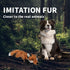 ALL FOR PAWS Dog Squeaky Fox Toy - Stuffed Animal Plush Chew Toy for Large Dogs