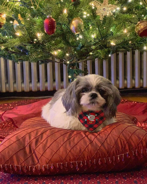 2 Pack Christmas Dog Plaid Bandana with Santa and Snowman Appliques Holiday Scarf for Pet Dog Puppy