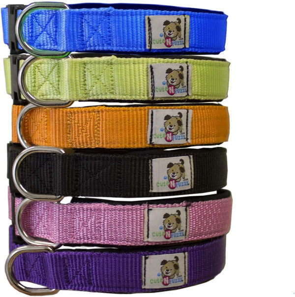 Padded Adjustable Nylon Dog Collar with Buckle, Available in Colors
