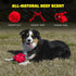 Playology Puppy Dog Ball Toys for Sensory Development, Stuffed Chew Toy with Squeaker for Puppies