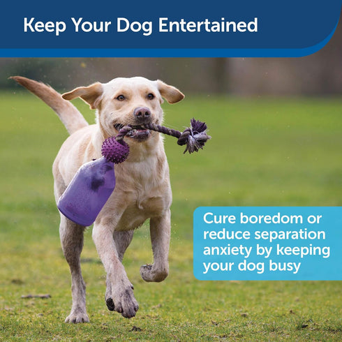 PetSafe Busy Buddy Tug-A-Jug Meal-Dispensing Dog Toy for Kibble or Treats