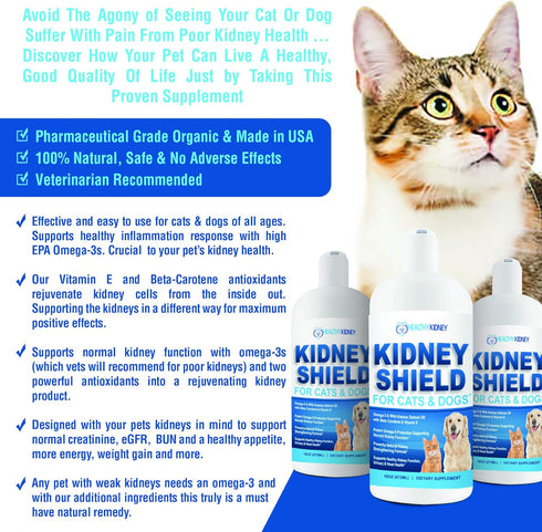 Kidney Support Supplement for Dogs and Cats, Canine Feline Renal Health, Detox, Urinary Track Cleansing, Improve Kidney