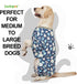 LovinPet Giant Dog Pajamas, Jellyfish and Starfish Deep Sea Print, Lightweight Pullover Clothes for Large Breed Dogs