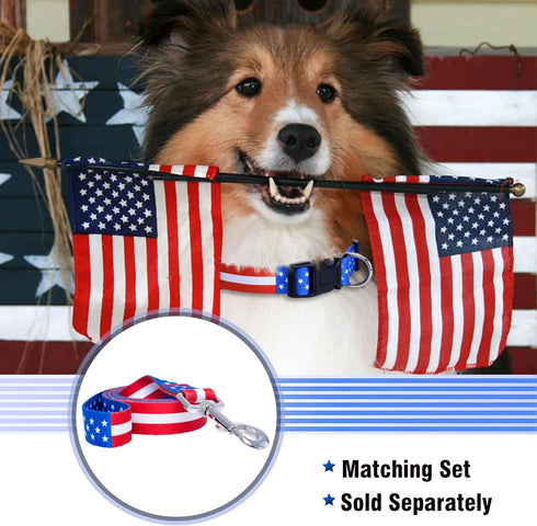 Native Pup American Flag Dog Collar, Red White and Blue, Adjustable for Small, Medium, Large Breed Dogs (Large, Flag I)