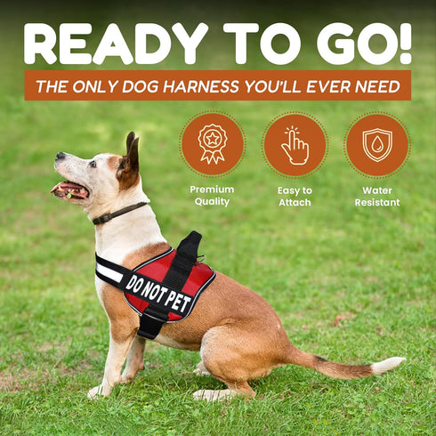 Doggie Stylz Dog Harness with DO NOT PET Patches – No Pull Service Dog Vest, Adjustable, Reflective, Heavy-Duty