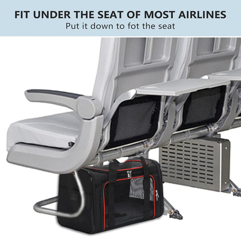 A4Pet Airline Approved Cat Carrier - Removable Soft-Sided Portable Pet Travel Carrier for Kittens, Puppies, and Rabbits
