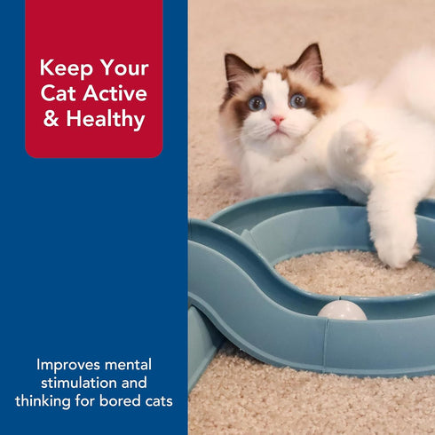 (1 Pack) Coastal Pet Turbo Track Cat Toy - Cat Ball Toy & Racetrack - Easy Assembly - Slate Blue