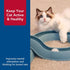(1 Pack) Coastal Pet Turbo Track Cat Toy - Cat Ball Toy & Racetrack - Easy Assembly - Slate Blue