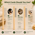 Juyoolumin 4-in-1 Set Bamboo Pet Grooming Kit for Medium to Long Haired Dogs & Cats, Dematting Comb with Undercoat