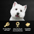CESAR Adult Wet Dog Food Classic Loaf in Sauce, Breakfast and Dinner Variety Pack (Pack of 12)