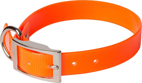 SunGlo Regular Dog Collar, 1" Wide, Orange, Fits 16"-19.5" Neck Sizes