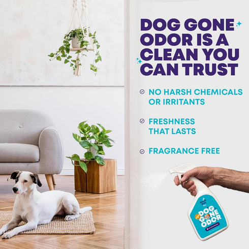 Dog Gone Pet Odor Reducer, Fresh Air Formula, 32 oz - 2 Pack, Effective Surface Freshener, Reapply Every 30-60 Days