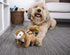 goDog Wildlife Chipmunk Squeaky Plush Dog Toy, Large, Chew Guard Technology, Brown