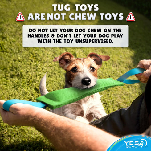 YES4QUALITY Durable Dog Bite Tug Toy (11.8"x3.5"), Green Pull Toy with Blue Handles for Small Medium Dogs