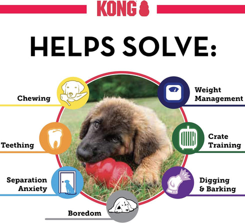 KONG Puppy Natural Teething Rubber Chew Toy, Stuffable Fetch Toy for Small Puppies, Pink