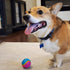 SPOT 5 2.5-inch Sensory Ball for Soft Chewers - Stimulates All Senses, Bell & Squeaker Sounds, Raised Nubs Clean Teeth
