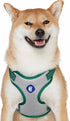 Blueberry Pet Essentials Reflective Better Basics Matching Dog Collar, Leash & Harness Set in Dark Green