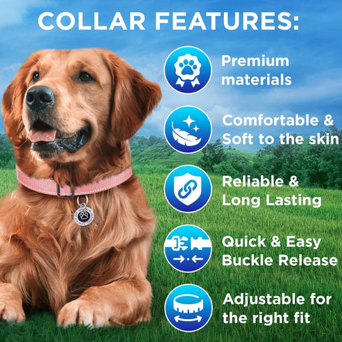 TECEUM Reflective Dog Collar – Pink – M – Basic Nylon Pet Collar, Quick Release Buckle