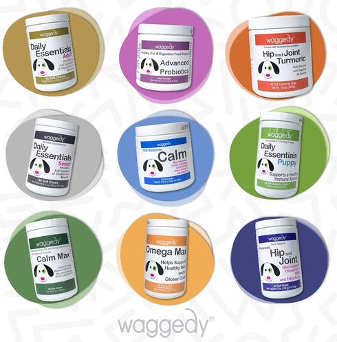 waggedy Hip and Joint Turmeric - Dog Supplements for Joints with Glucosamine & MSM, All-Natural Daily Chews to Improve