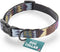 Embark Adventure Dog Collar – Stylish & Durable Nylon Collars for Small Dogs, Adjustable with Strong Buckles