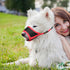 HEELE Dog Muzzle, Soft Nylon Anti Biting Barking Chewing, Air Mesh Breathable Adjustable Loop Muzzle for Small Medium