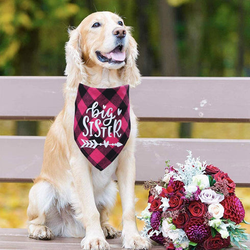 STMK Big Sister Plaid Dog Bandana, Pregnancy Announcement Plaid Scarf, Gender Reveal Photo Prop, Pet Scarves (Pink)