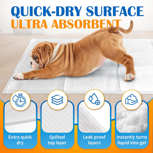 17"x20", 50 Count 6-Layer 4 Paws & Claws Premium Disposable Dog & Puppy Pee Pads Small LeakProof, Super Absorbent