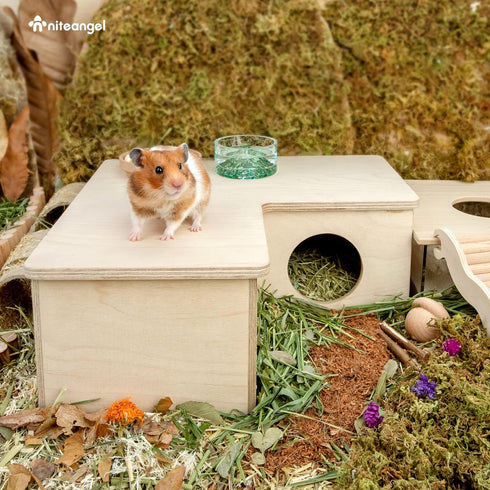 Niteangel Multi-Chamber Hamster House Maze, Multi-Room Hideouts & Tunnel Toys for Hamster, Gerbils, Mice (3-Room Large)