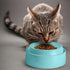 CatGuru Cat Bowls - Whisker Friendly Cat Food Bowl Set of 2, Non Slip Pet Feeding Plate, Shallow Kitten Dish (Aruba)