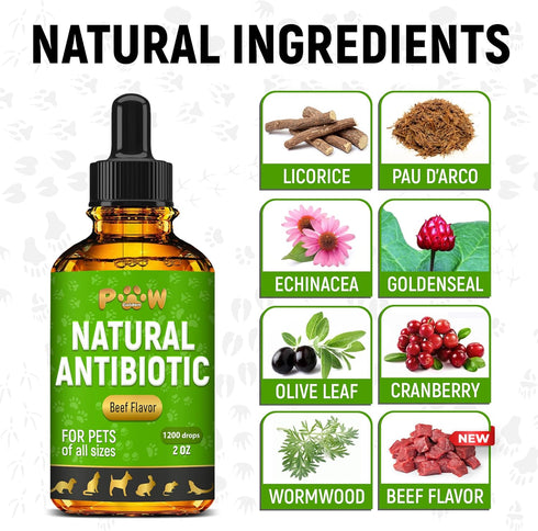 Natural Antibiotic for Cats and Dogs | 2 Oz Beef Dietary Supplement | Cat and Dog Antibiotics