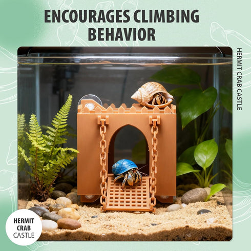 BrightRow Hermit Crab Climbing Wall Foraging Cave Hermit Crab Accessories Climbing Toy Viewing Moist Hideaway Tank