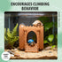 BrightRow Hermit Crab Climbing Wall Foraging Cave Hermit Crab Accessories Climbing Toy Viewing Moist Hideaway Tank