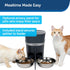 PetSafe 2-Pet Meal Splitter with Bowl, Designed for Smart Feed and Healthy Pet Automatic Cat Feeder