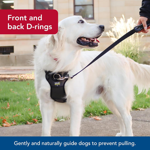 Coastal Pet Walk Right No-Pull Padded Dog Harness, Adjustable, Black, LRG (26"-38")