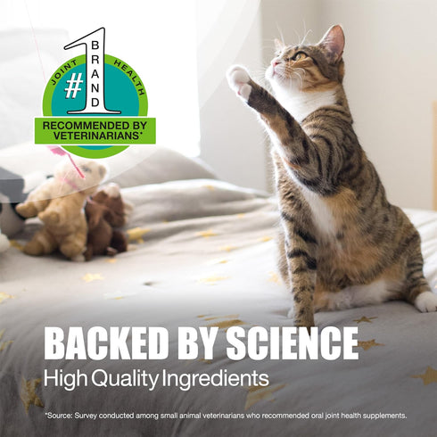 84 Nutramax Laboratories Dasuquin Joint Health Supplement for Cats - With Glucosamine, Chondroitin, ASU, Boswellia