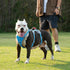 No Escape Dog Harness, Escape Proof Reflective Harness with Padded Handle, Adjustable Vest for Small Dogs