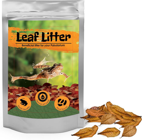 JOR 120 Pack Dwarf Frog Leaf Litter - Mini Indian Almond Leaves for Microfauna Habitat