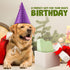 Funny Dog Toys with Squeaker, Cute Parody Dog Toys for Small, Medium, and Large Dogs, Dog Birthday Gifts, Mint