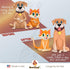 Best Paw Nutrition Premium Probiotic Prebiotic & Digestive Enzymes for Dogs & Cats, 5 Billion CFU, Organic Turmeric &