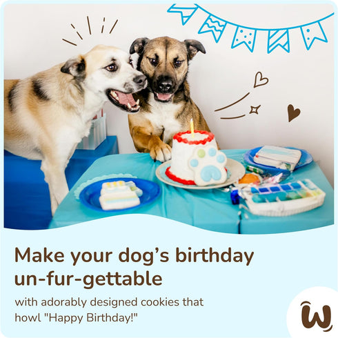 Wufers Dog Birthday Cookie Box, 9 Cookies, Human Grade Ingredients, Cute Hand Decorated