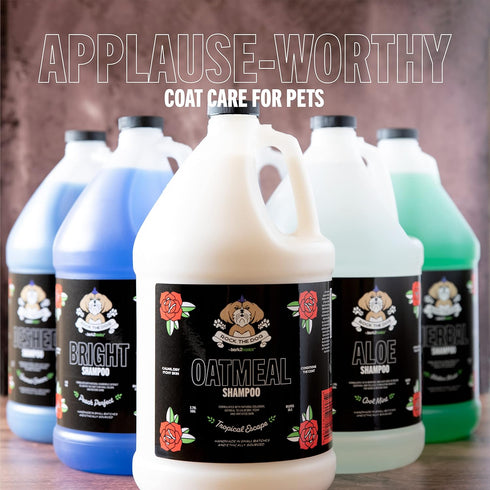 Bark2Basics Rock The Dog Brightening Pet Shampoo - 1 Gallon for Lightening and Whitens Fur, Concentrated