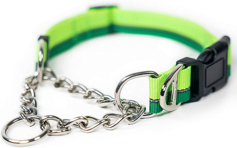 Mighty Paw Martingale Dog Collar 2.0, Trainer Approved Limited Slip Collar with Heavy Duty Buckle & Stainless Steel
